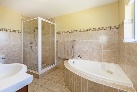 R3 Zebra Apartment - bathroom walk-in shower and corner bath